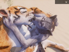 Wild Life / Lesbian Furry new Tiger with Wolf