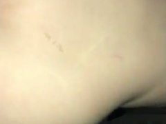 Pawg rides cock reverse cowgirl