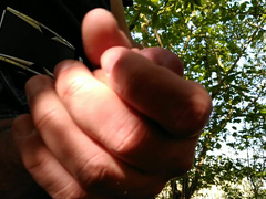 Jerking off and cumming in the woods