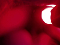Gabby's Red Light Trailer Seattle