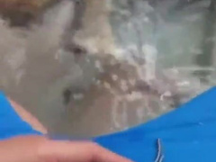 Olivia Mae Hot Tub Deepthroat Blowjob Video Leaked