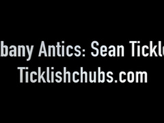 Albany Antics: Sean Tickled