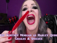 Whitney Morgan As Harley Quinn: Giggles and Sneezes - mp4