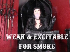 Weak and Excitable for Smoke from Maya Sinstress (mov)