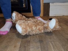 Sock trample teddy bear