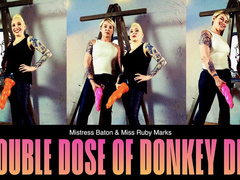 A Double Dose Of Donkey Dildo HD