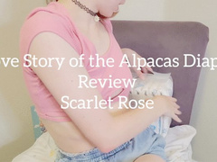 Love Story of The Alpacas Diaper Review