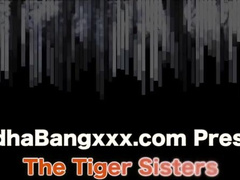 Tiger Sisters