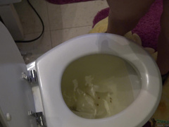 DakotaCharmsxxx Melting Toilet Paper in private premium video