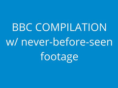 naughty1nextdoor -  bbc compilation vid