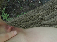 Peeing From a Fallen Tree in a Public Park