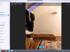 Skype with russian prostitute 68 of 364
