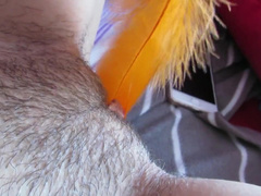 Hairy Big Clit Pussy Feather Teasing